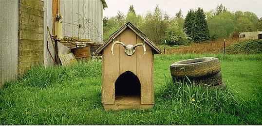 EA将于6月关闭《暴力辛迪加》2012重启版服务器